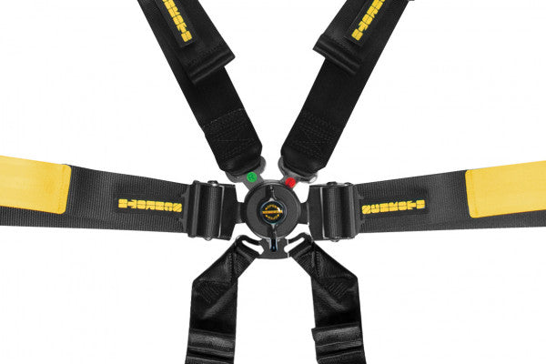 Schroth Belts